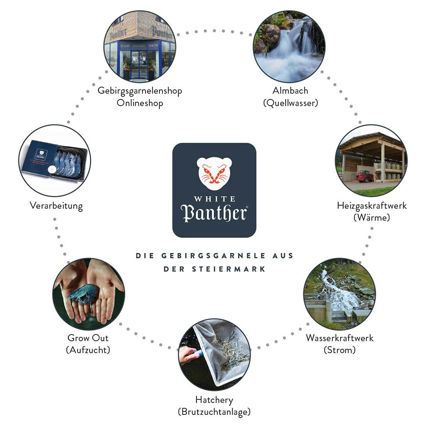 Content_880x880px_SUS_White_Panther_02_Kreislaufwirtschaft