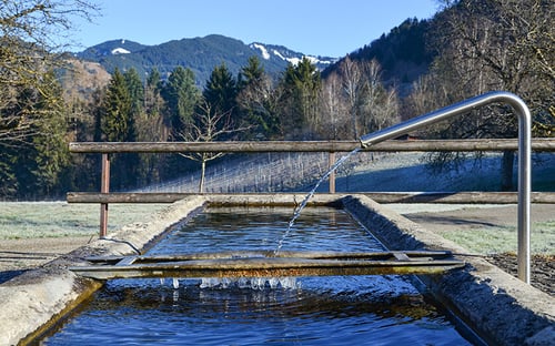 Teaser_840x525px_Zwischenwasser